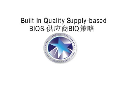 BIQS 通用汽车质量体系要求